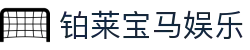 铂莱宝马娱乐_铂莱宝马国际娱乐_中国官方登录入口